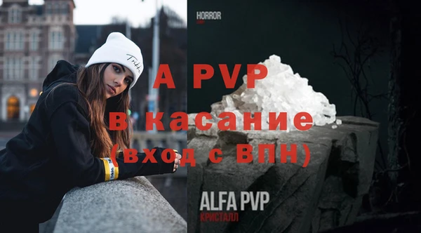 прущие грибы Алзамай