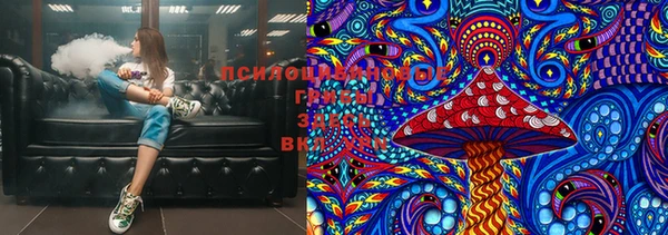 прущие грибы Алзамай