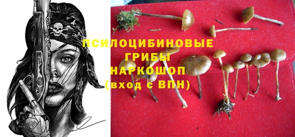 прущие грибы Алзамай