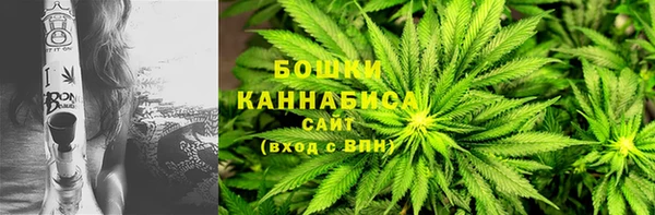 прущие грибы Алзамай
