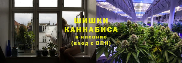 соль ск Алексин
