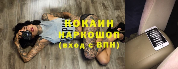 соль ск Алексин