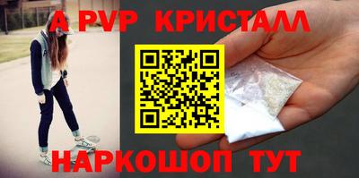 молекула духа Камышлов