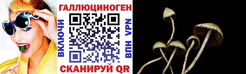 Галлюциногенные грибы Cubensis  где купить   Светлоград 