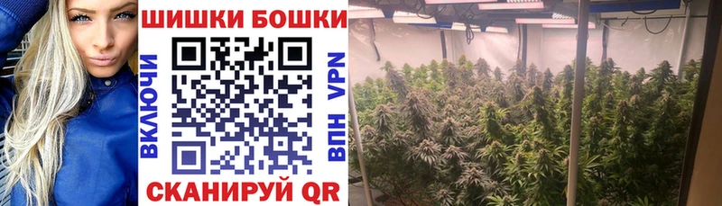 Каннабис сатива  где найти наркотики  Светлоград 